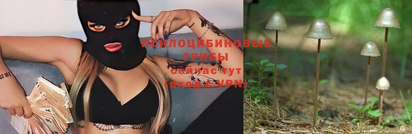 герыч Алексеевка