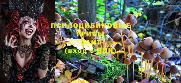 марки lsd Алексин