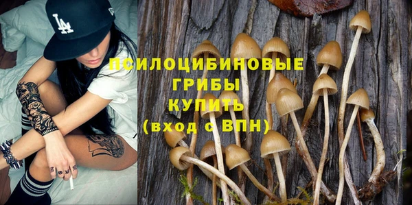 герыч Алексеевка